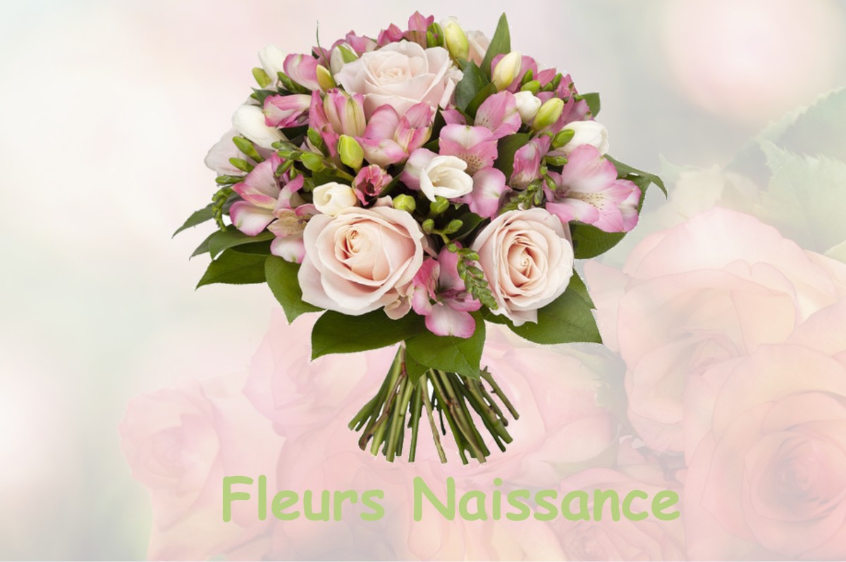 fleurs naissance ROUFFIGNAC-DE-SIGOULES